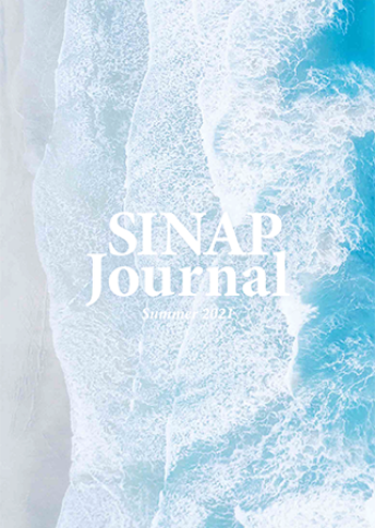 表紙 SINAP Journal Summer 2021 波打ち際を真俯瞰で撮影した写真