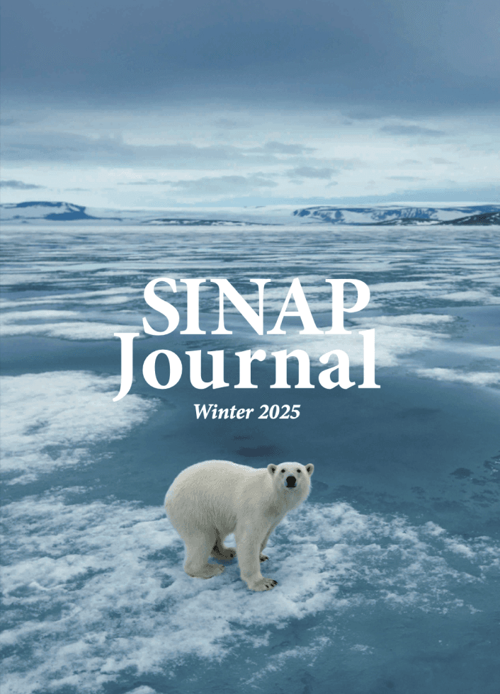 表紙 SINAP Journal Winter 2025 雪と氷の上で白熊がこちらを見ている写真