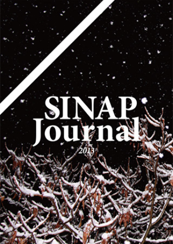 表紙 SINAP Journal Winter 2013 夜の木の枝に雪が積もった写真