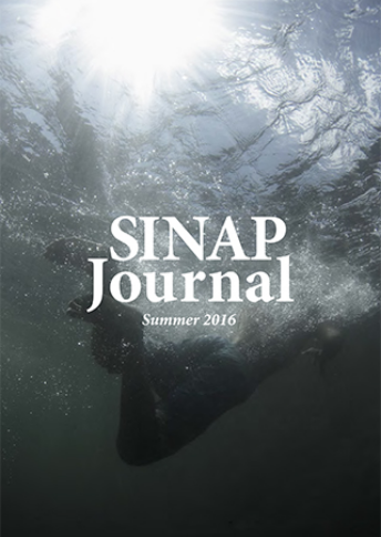 表紙 SINAP Journal Summer 2016 人が水中に飛び込んだ瞬間を水中から撮影した写真。