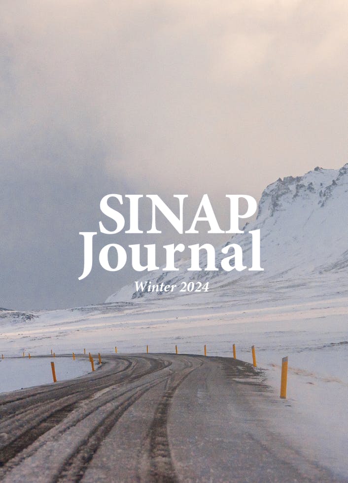 表紙 SINAP Journal Winter 2024 雪原と道路の写真